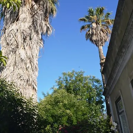里斯本经济旅馆 Lisboa